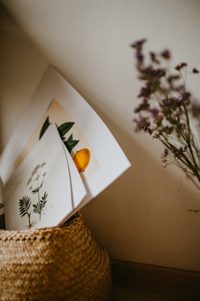 Pile of papers with pictures of plants placed in wicker basket on floor near flower on white background